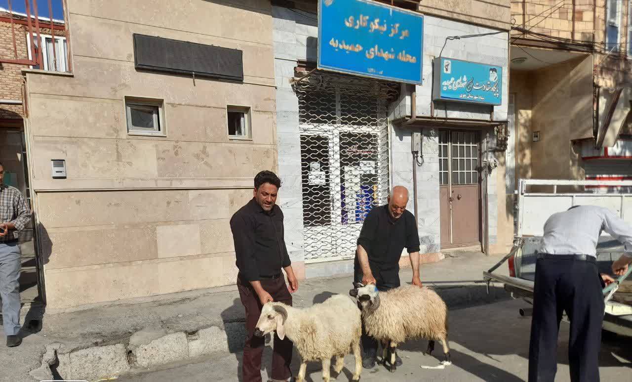 گوشت نذری بین نیازمندان