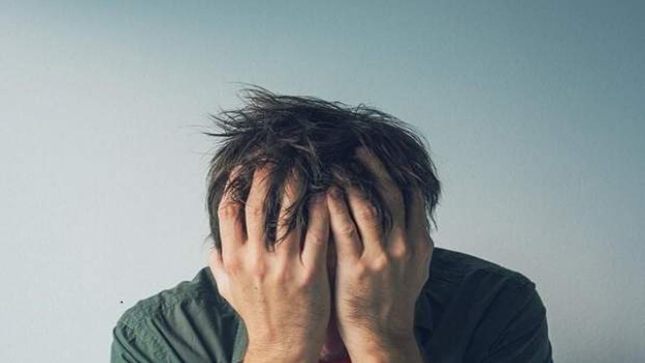 آنچه باید درباره زندگی ساندویچی بدانید