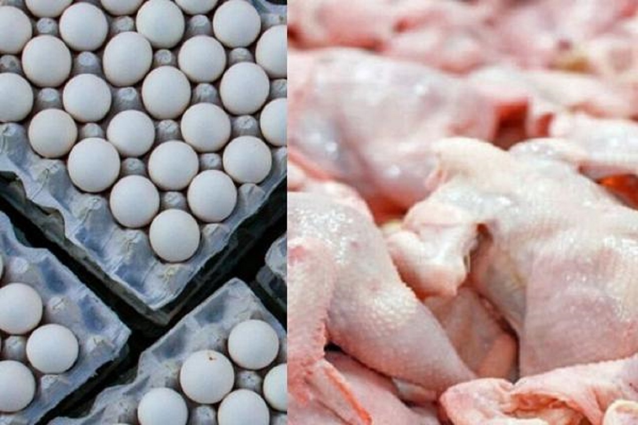 استان اصفهان پیشتاز در تولید گوشت قرمز، تخم مرغ و شیرخام