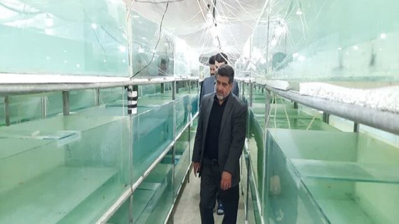 افتتاح طرح تکثیر و پرورش ماهیان زینتی شهرستان کنگاور
