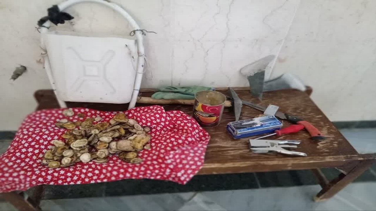 دستگیری سه متخلف در حال برداشت شیره گیاه انغوزه در شهرستان تفت