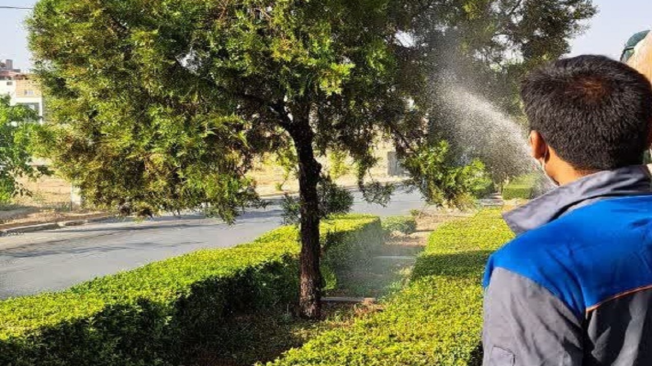 انجام عملیات آبشویی درختان در شهرکرد