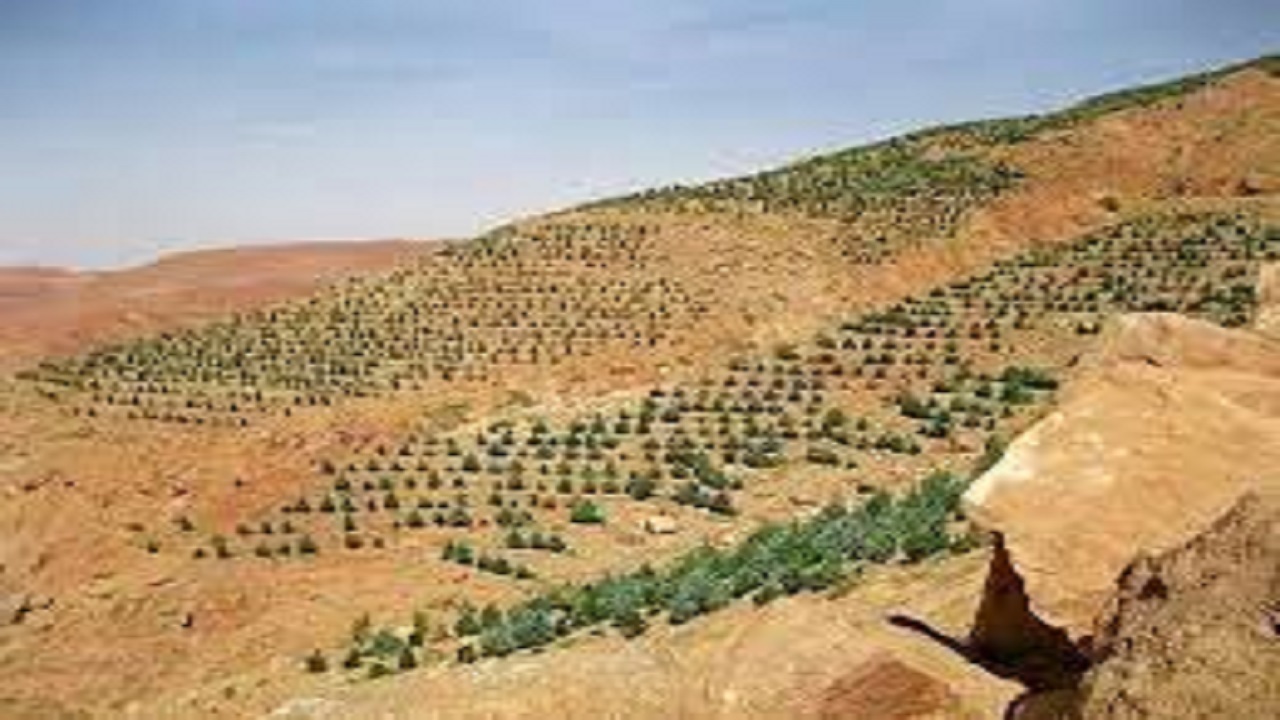 آغاز توسعه باغات دیم در ۷۰ هکتار از زمین‌های اردل