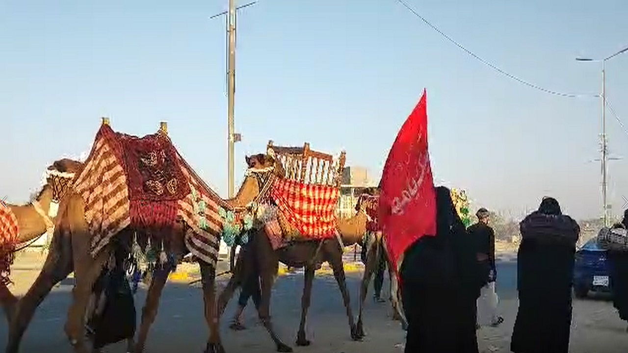 فیلمی از حرکت نمادین اسرا در مسیر پیاده روی مسجد سهله به کربلا