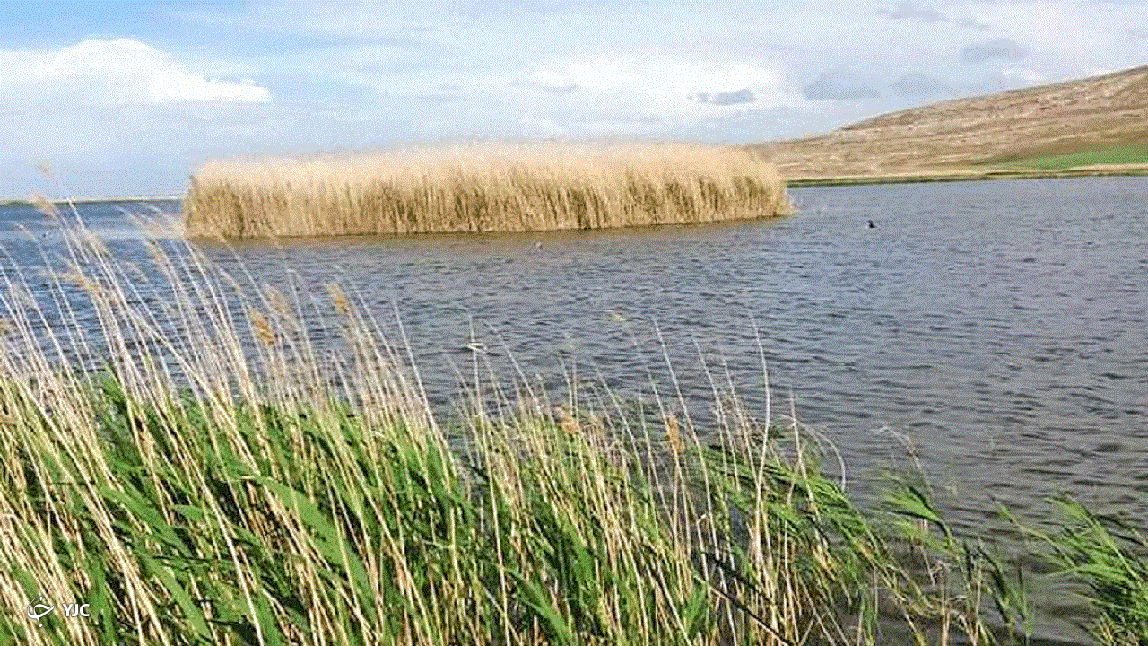 یک میلیون متر مکعب حق آبه تالاب کانی برازان رهاسازی شد