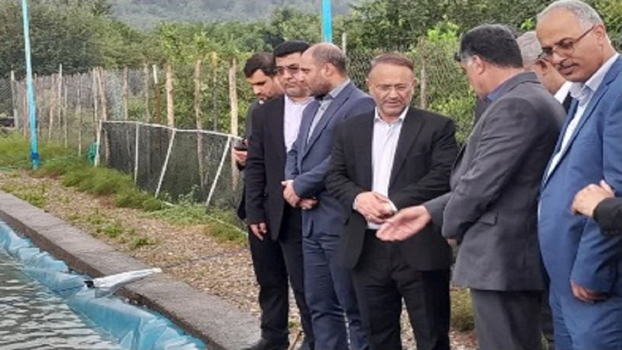حمایت کامل شیلات از طرح‌های توسعه پرورش ماهیان خاویاری