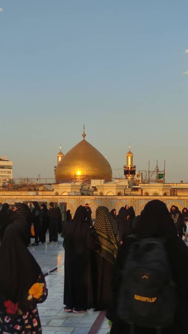 زائران اربعین در حرم امام علی