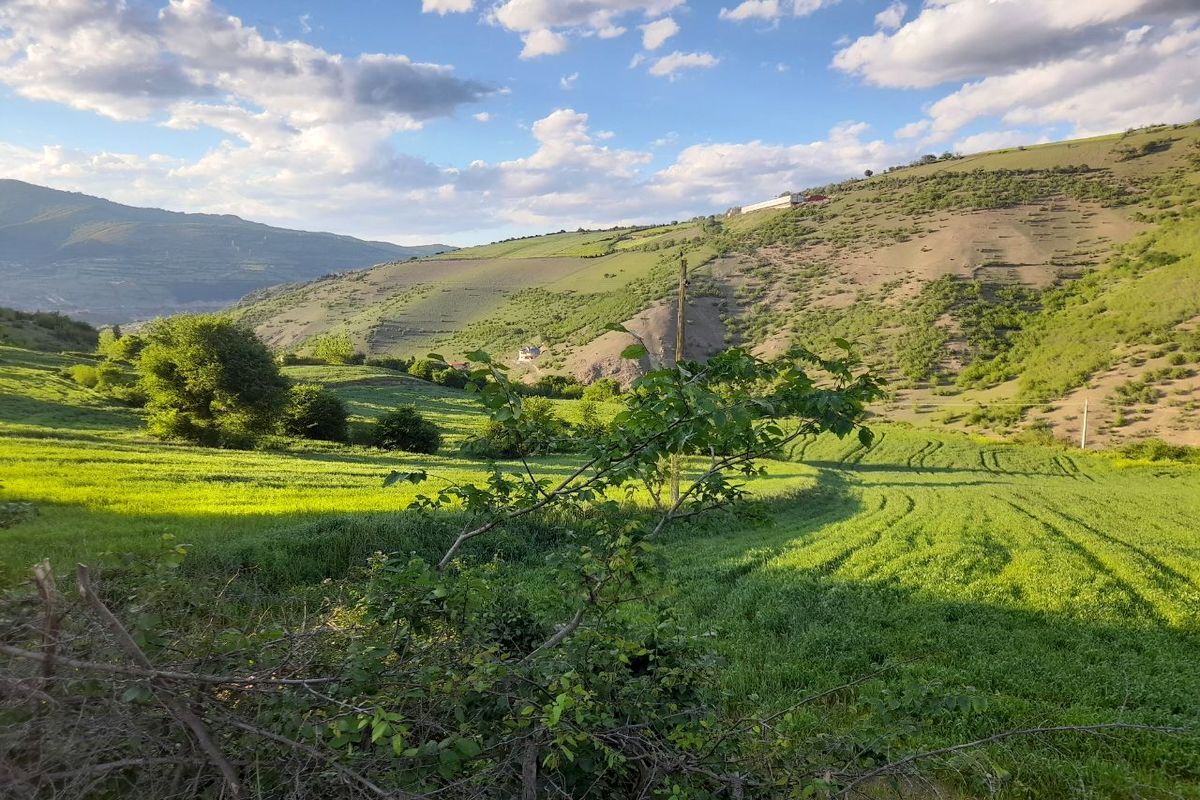 گرم شدن تدریجی دمای هوا از امروز