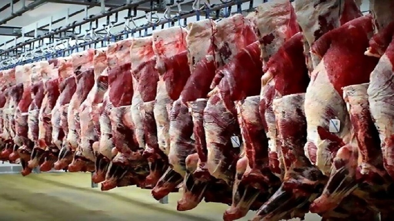 کاهش ۲۶ درصدی عرضه گوشت قرمز در مردادماه