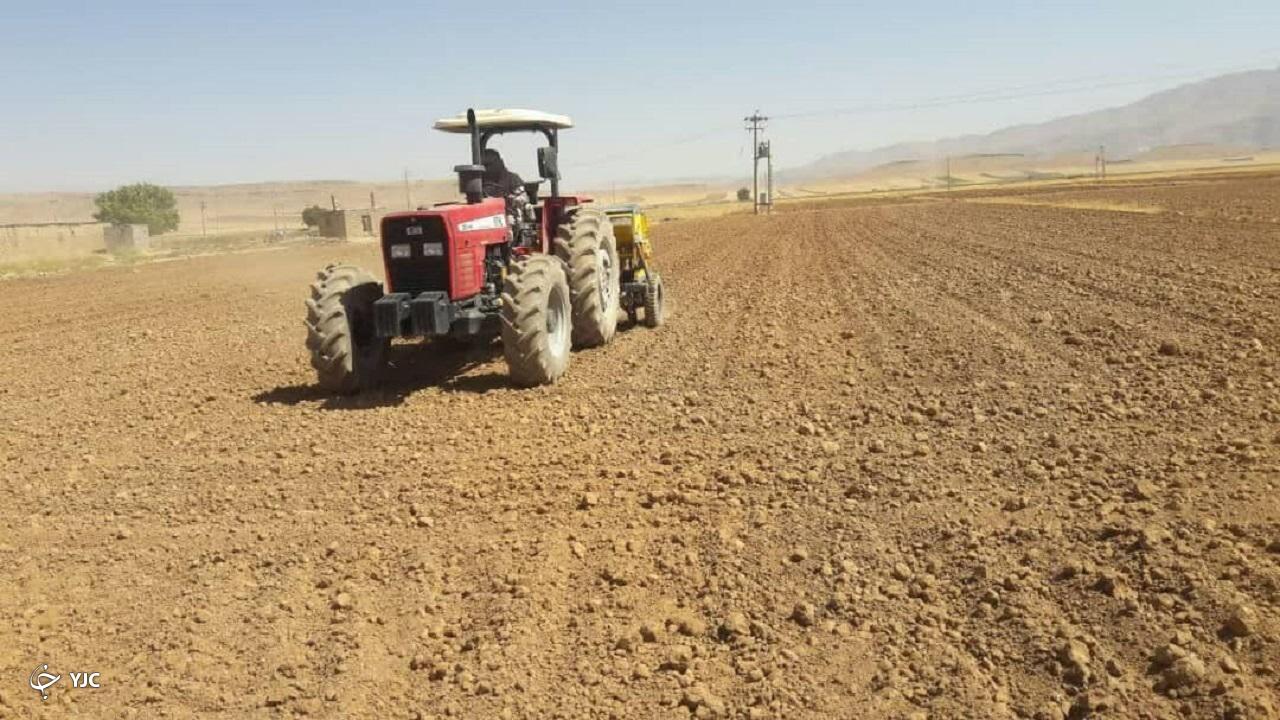 کشت پاییزه کلزا در مزارع آذربایجان‌غربی آغاز شد