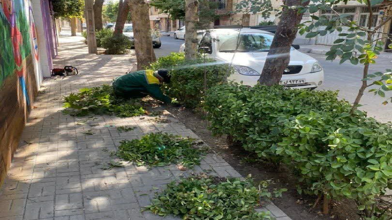 آغاز گلکاری پاییزه در معابر و بوستان های قزوین