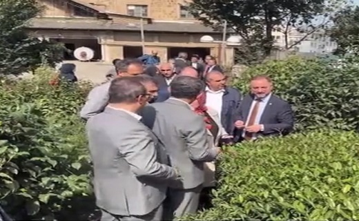 سفر یک هیئت علمی از ترکیه به پایتخت چای ایران