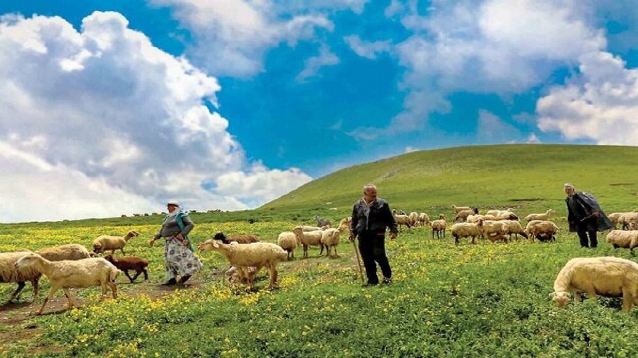 عشایر از چرای دام در دامنه کوه و تردد در مسیل‌ها خودداری کنند