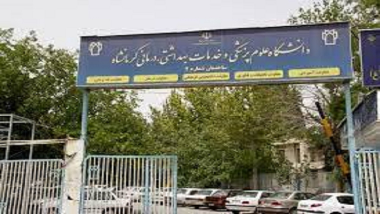 کرمانشاه دومین استان کشور در پذیرش دانشجویان بین‌الملل