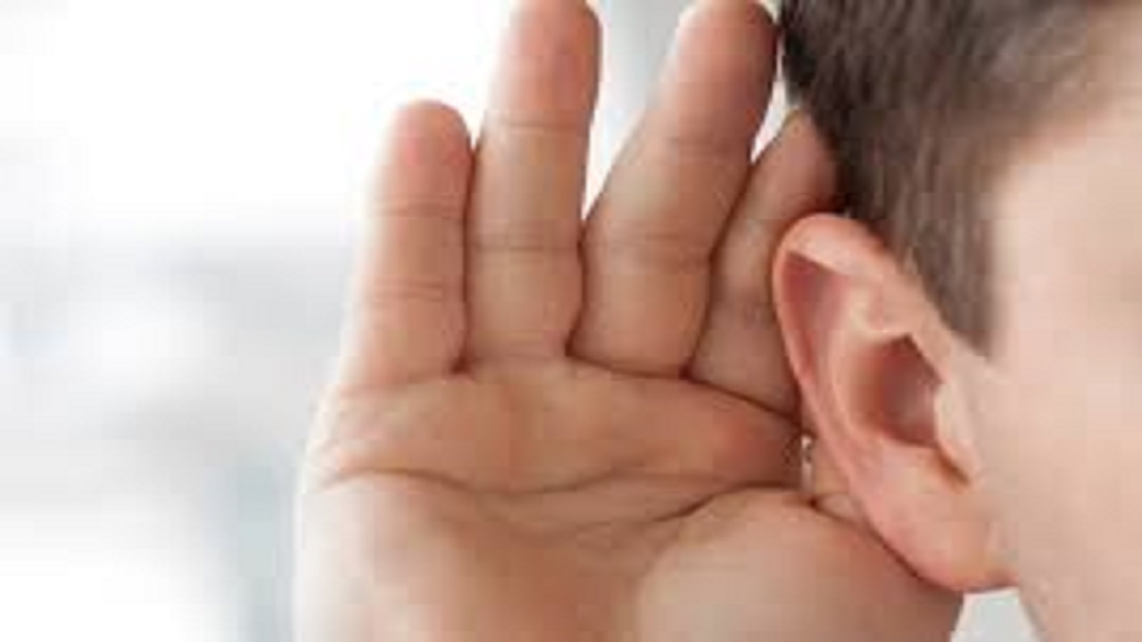 ارائه خدمات آموزشی برای توانمندسازی افراد ناشنوا و کم شنوا