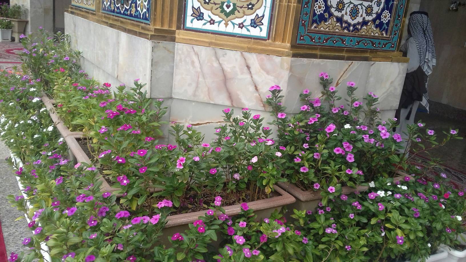 گل های طبیعی