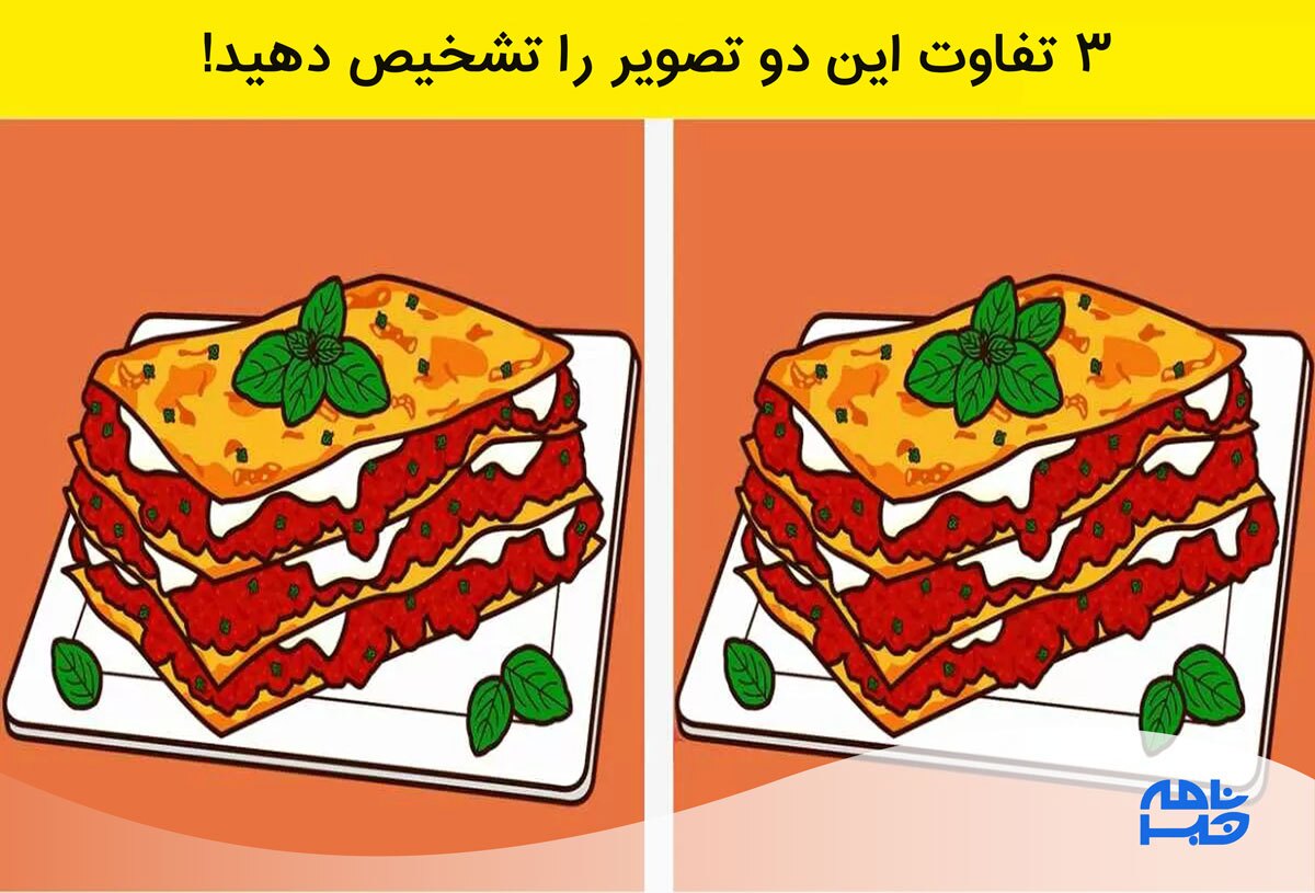 تست هوش تست هوش