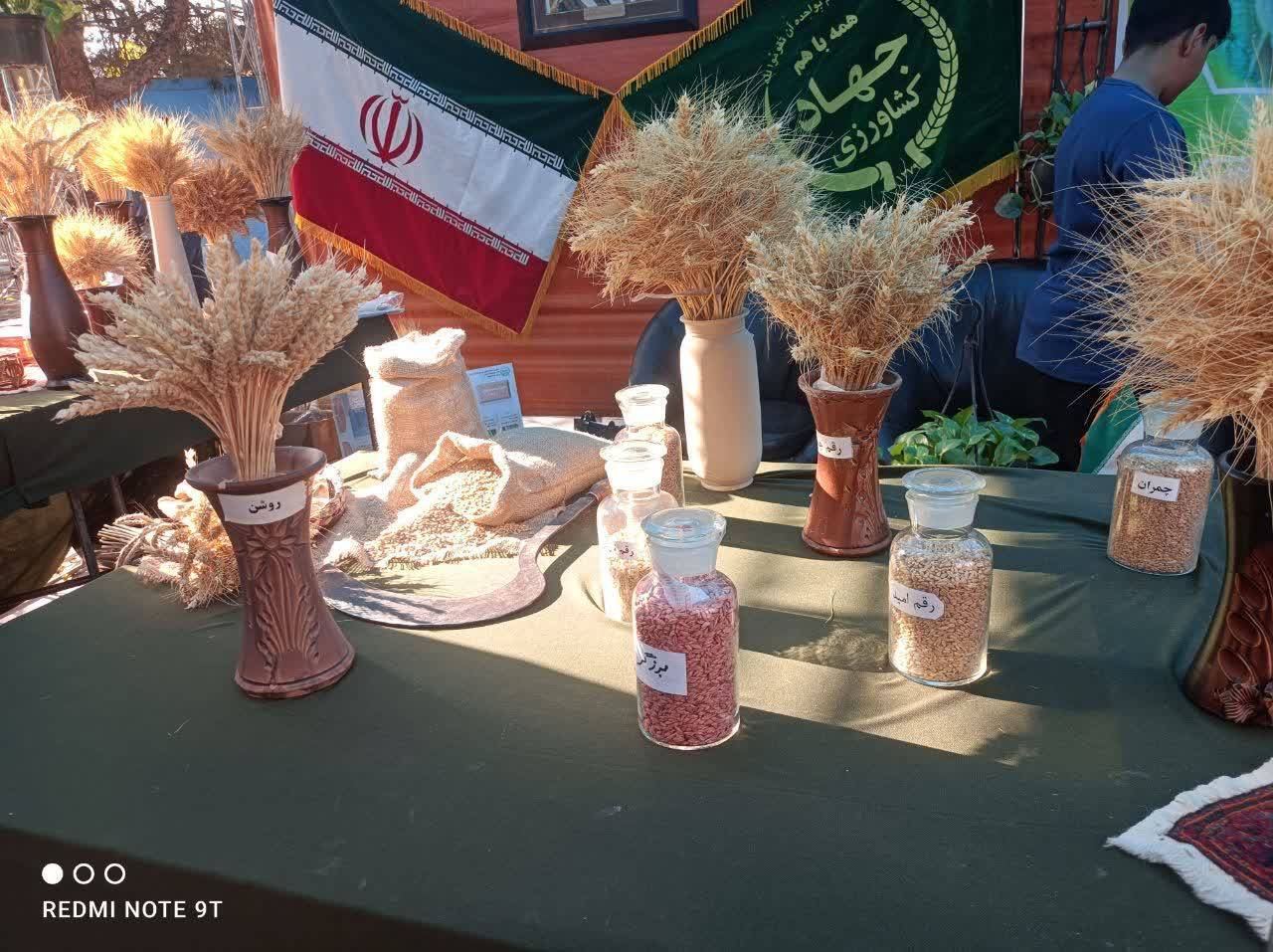 آیین افتتاحیه جشنواره ملی نان در کرمان + تصاویر