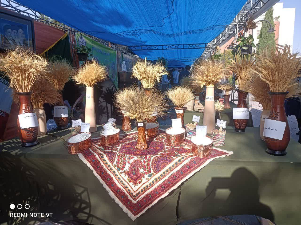 آیین افتتاحیه جشنواره ملی نان در کرمان + تصاویر