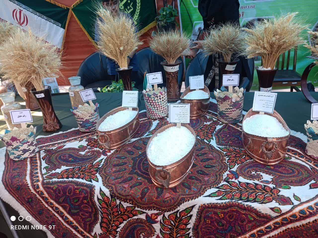 آیین افتتاحیه جشنواره ملی نان در کرمان + تصاویر
