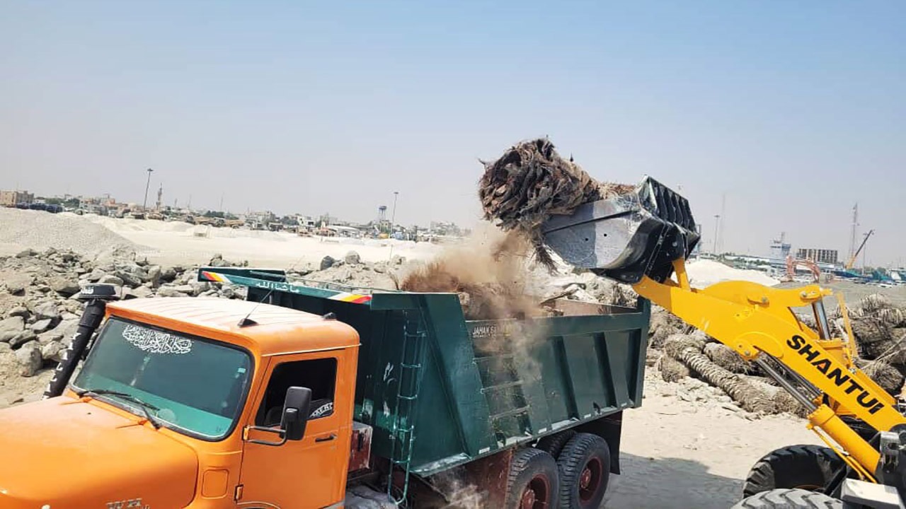 امحا۲۵۰ اصله نخل مرجوعی از محوطه‌های بنادر بندرلنگه