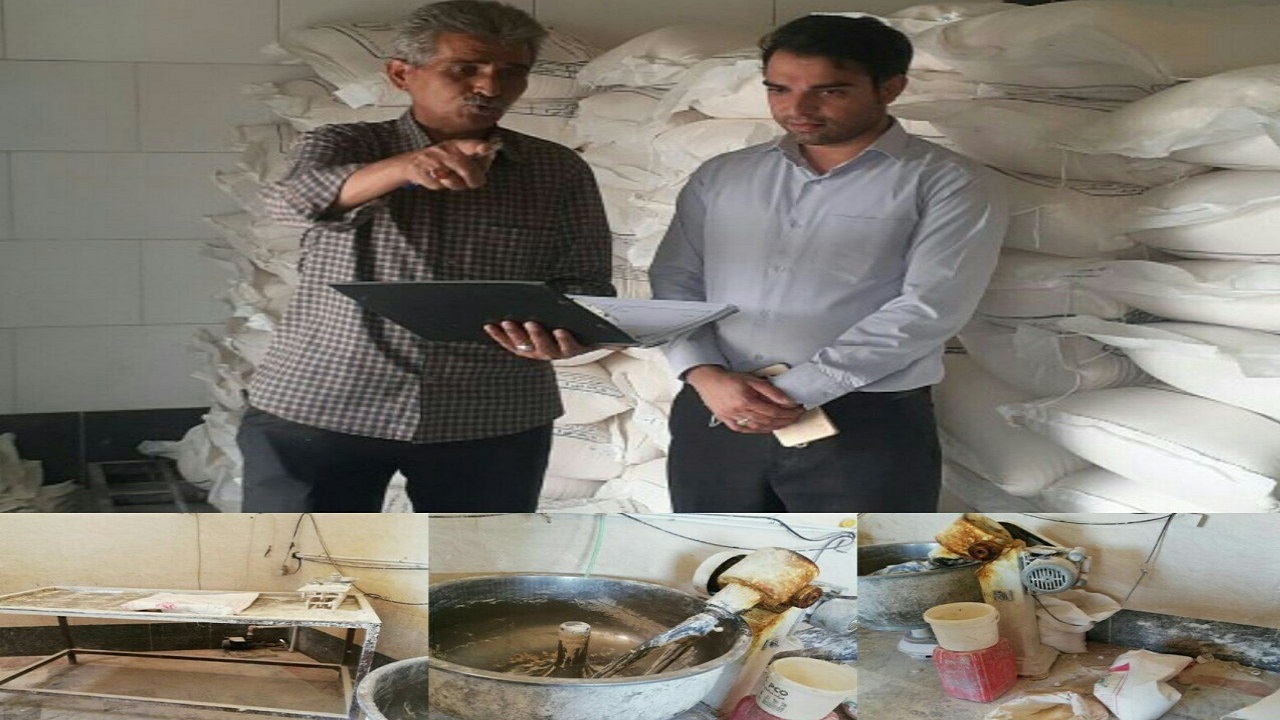 تشدید طرح بازرسی و نظارت بر نانوایی های روستایی