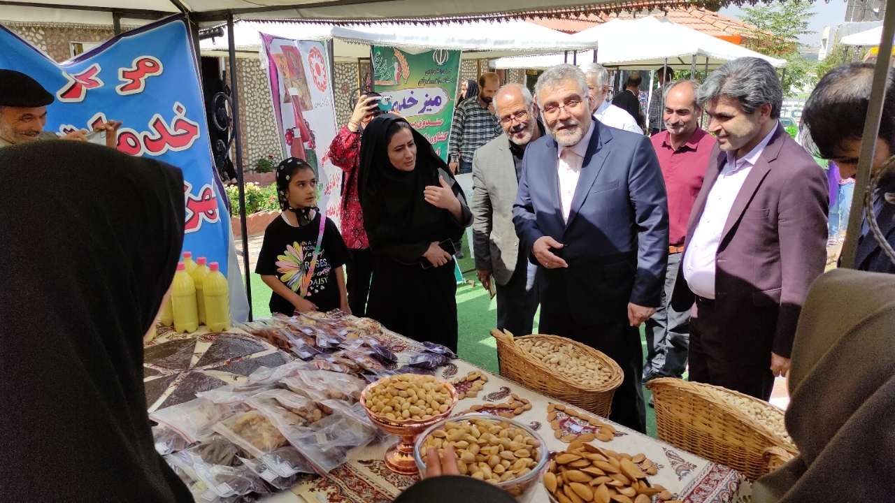 ایران فضای بسیاری مناسبی برای توسعه و ارتقای محصول بادام دارد
