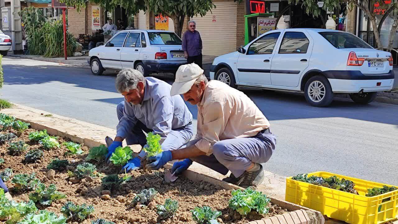 تزیین فضا‌های سبز شهرکرد با گل پاییزه + عکس