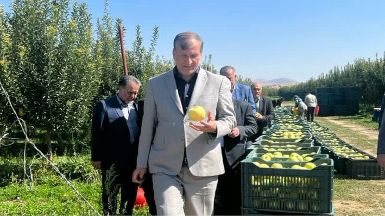 باغات درجه ۳ حذف می‌شوند