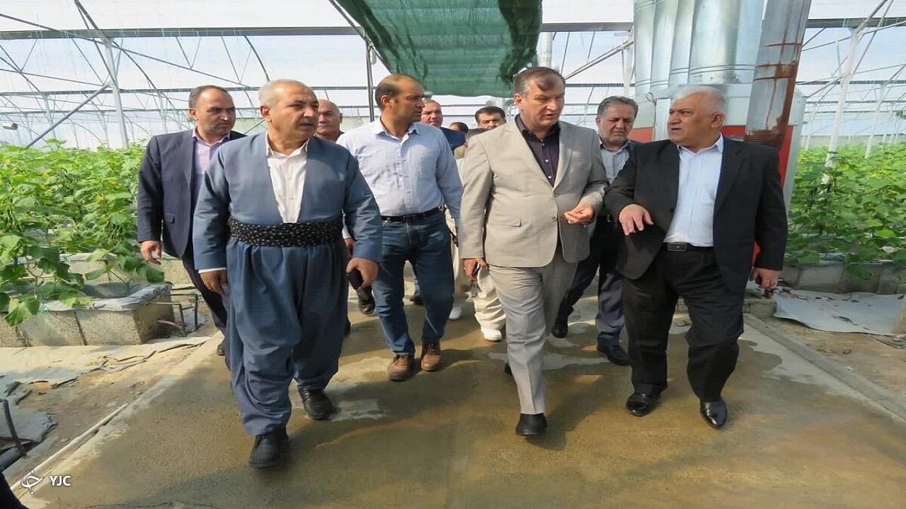 یک میلیون هکتار از باغ‌های کشور نیاز به جایگزینی دارد