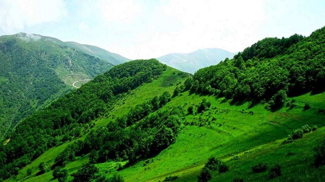 تکلیف مجلس به سازمان منابع طبیعی برای حفظ، احیا و توسعه جنگل