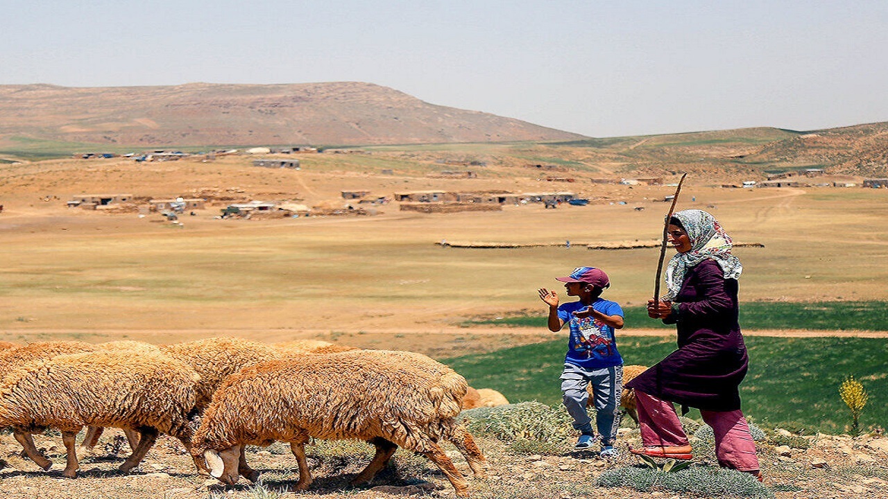 قم دارای ۳۰۳ خانوار عشایری است