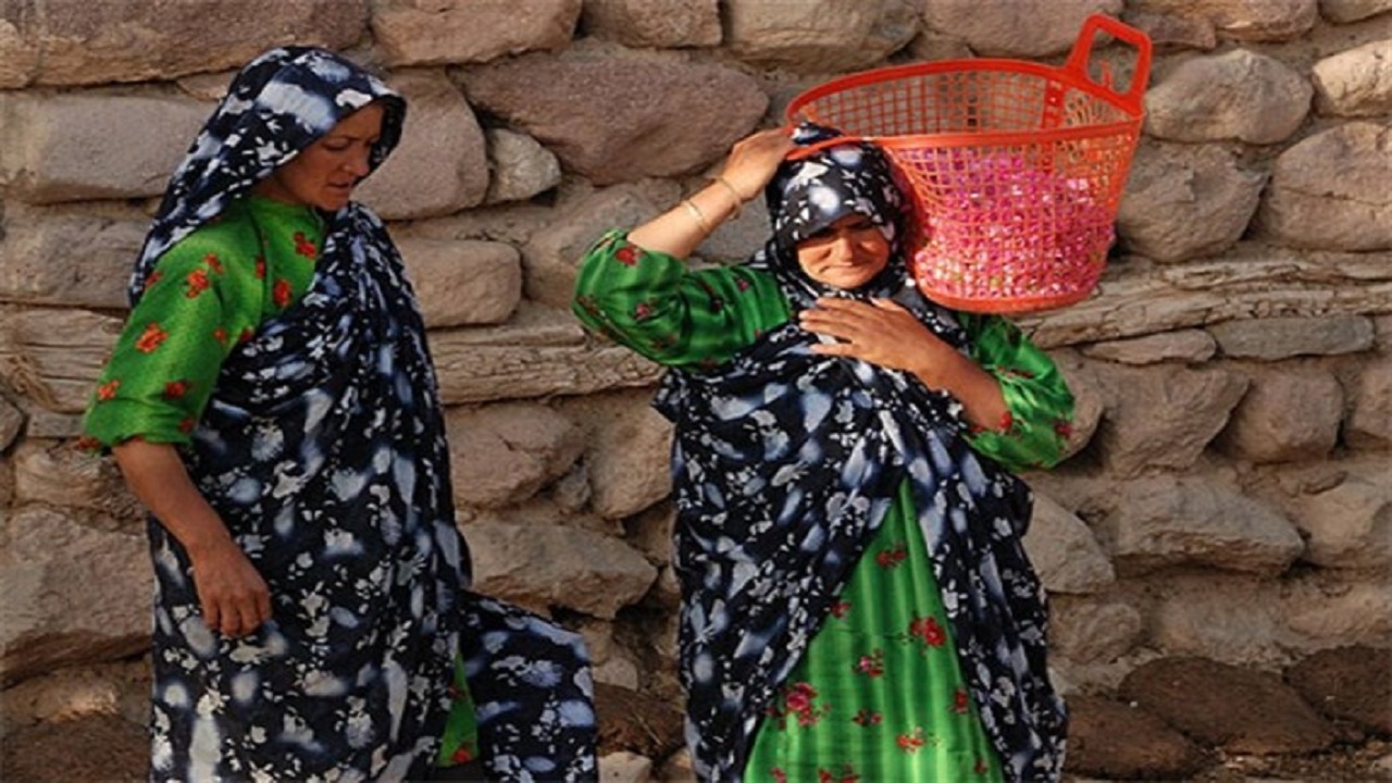 برنامه ترویجی حوزه فعالیت‌های زنان روستایی و عشایر بوشهر ابلاغ شد