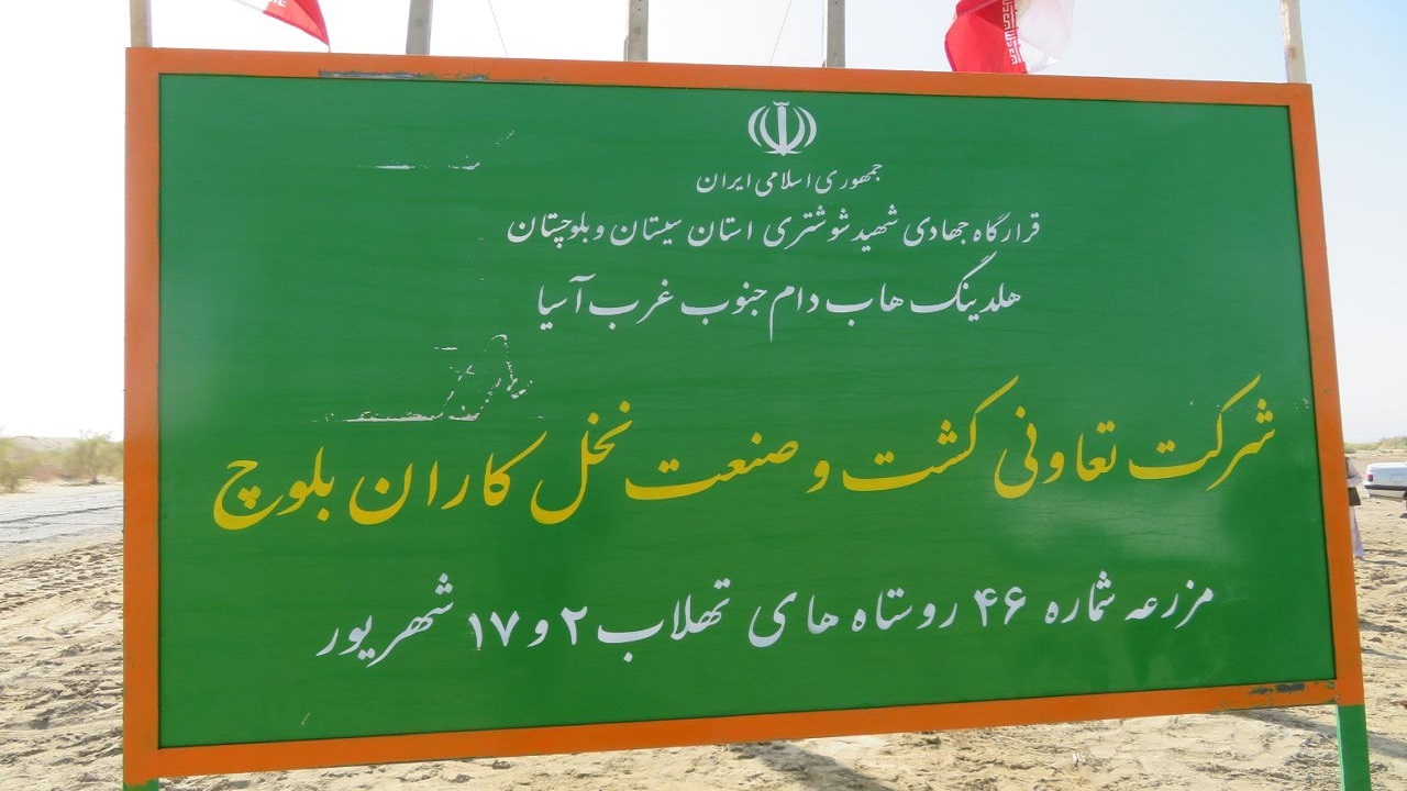 شرکت تعاونی کشت و صنعت نخلکاران میرجاوه راه اندازی می‌شود