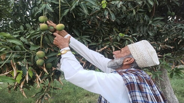 افزایش ۵۲ درصدی صادرات خراسان رضوی به پاکستان/ روابط تجاری با ایجاد یک مسیر ترانزیتی تقویت خواهد شد