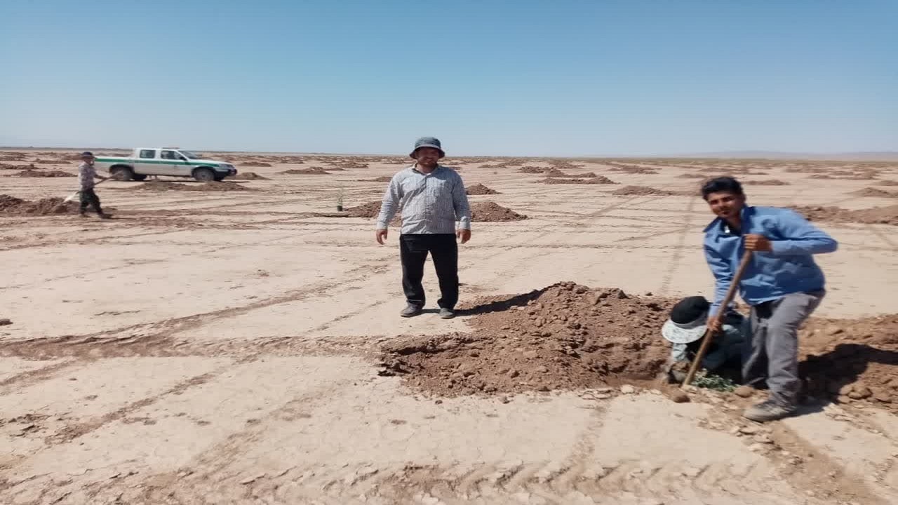 طرح بیابان زدایی در ۸۰ هکتار از اراضی بیابانی جوین اجرایی شد