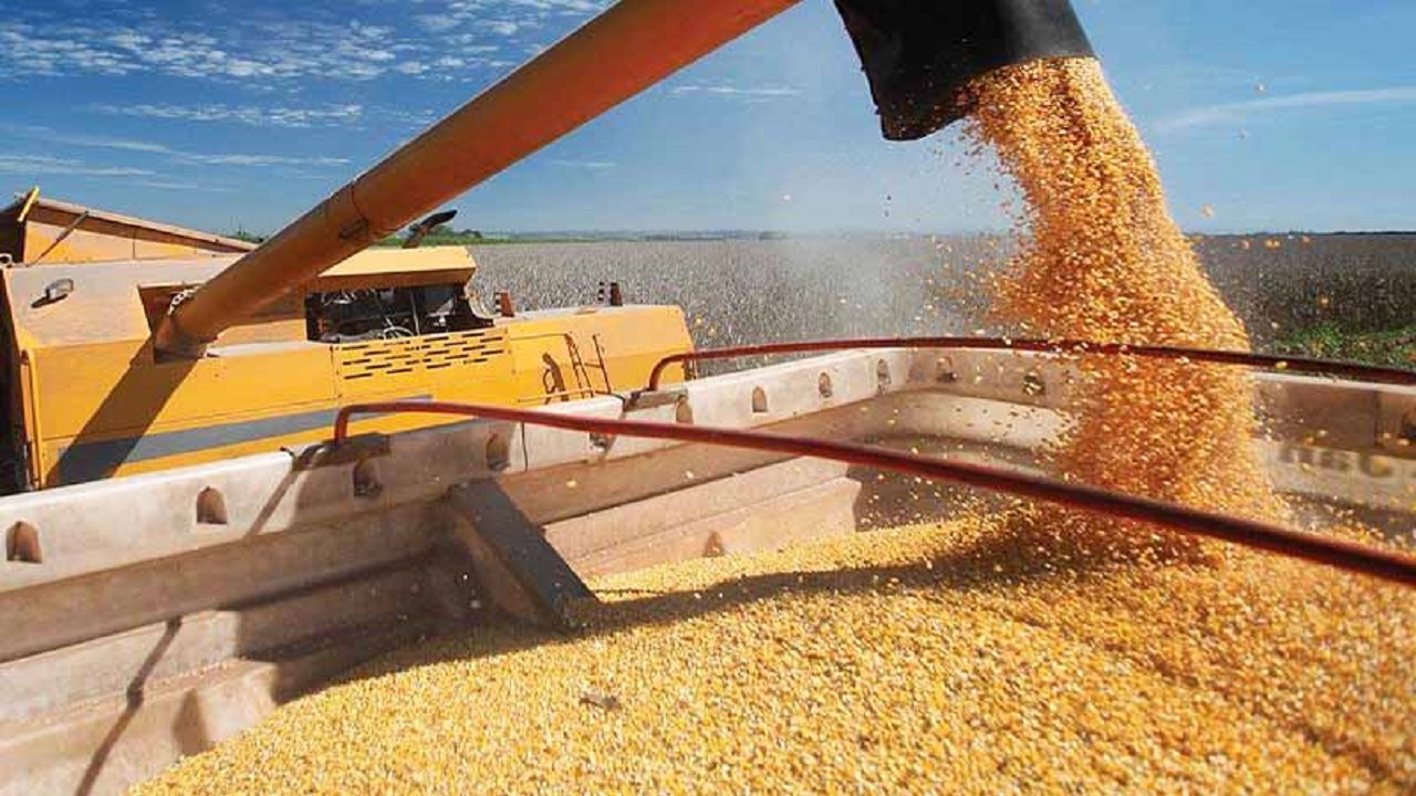 موانع حقوقی خرید گندم برطرف شد