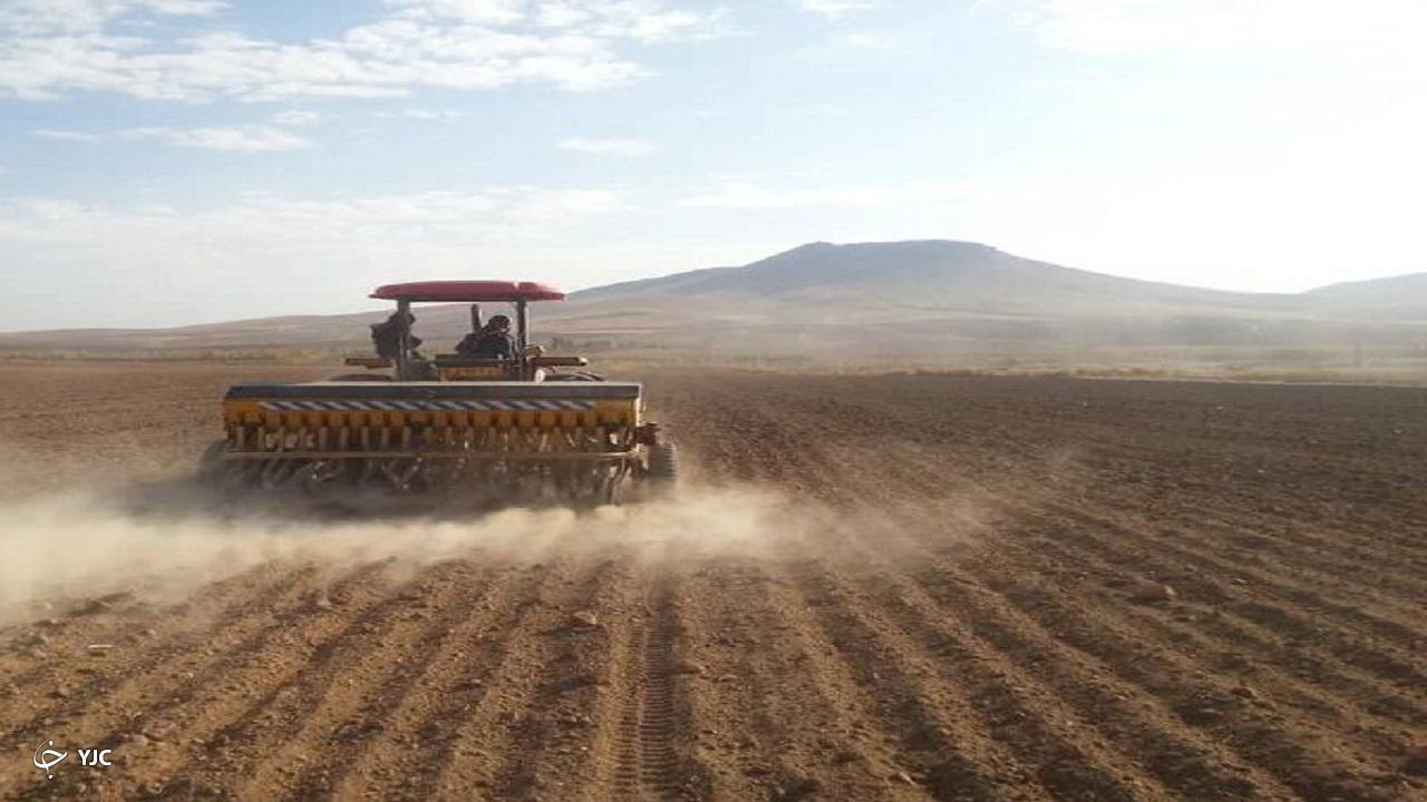 ۷۵ هزار هکتار از مزارع بوکان زیر کشت گندم می‌رود
