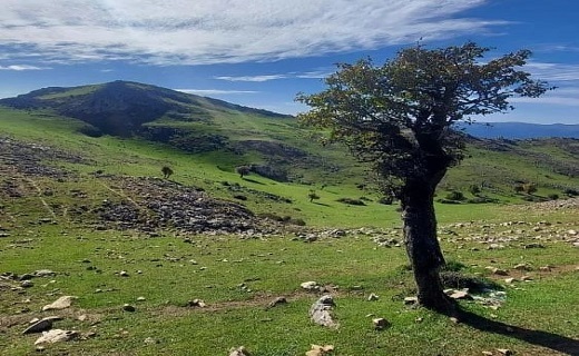 درخشش آفتاب پاییزی در ارتفاعات املش