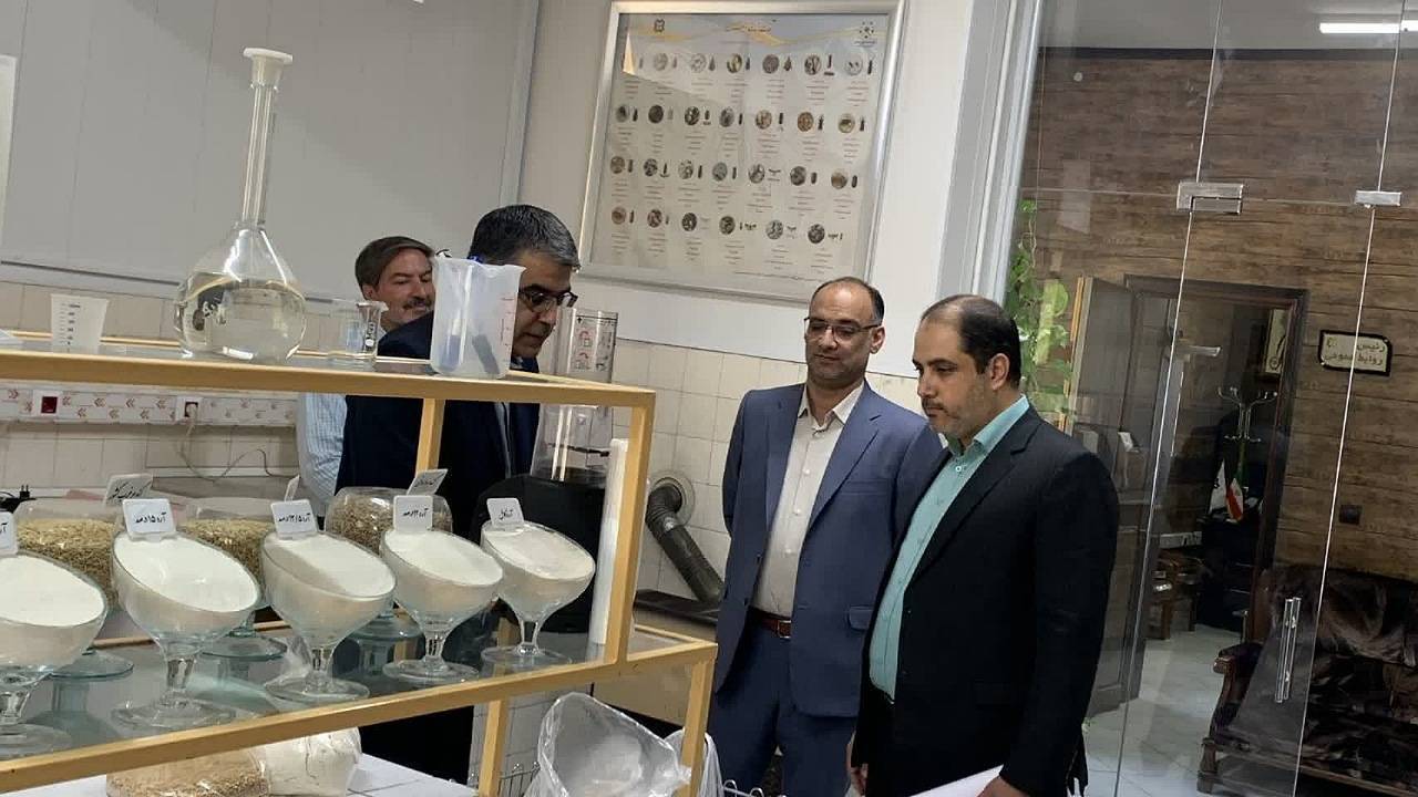 پرداخت ۷۶ درصد مطالبات گندم‌کاران استان کرمان