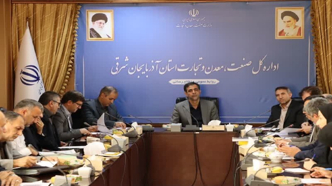 ایجاد اتحادیه ریزپرنده‌ها و آموزشگاه‌های رانندگی در تبریز