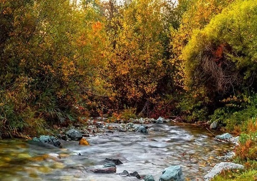 روستای ارنگه با کوله باری از تاریخ