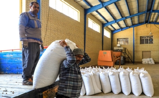 تبسم پسته خراسان رضوی، نیازمند حمایت از خاستگاه این محصول در ایران