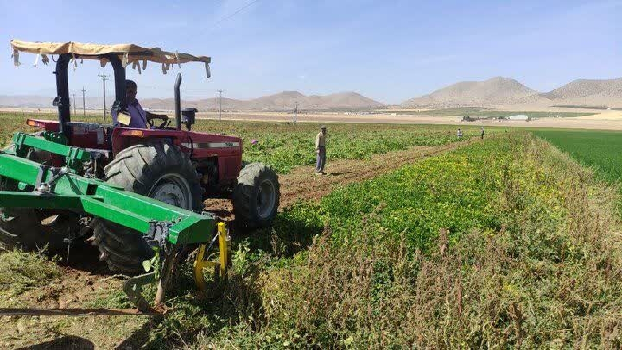 دستگاه برداشت لوبیا در چهارمحال و بختیاری رونمایی شد