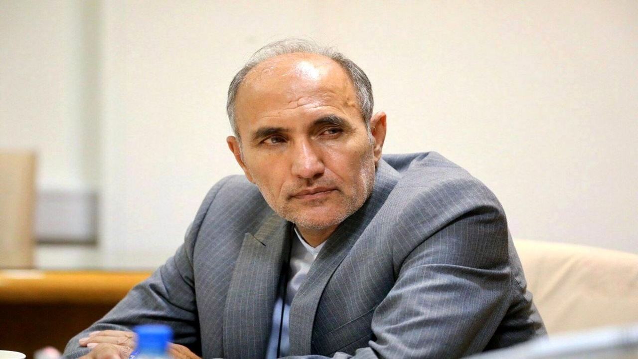 برای حل مشکل بازنشستگان در مجلس مصمم هستیم