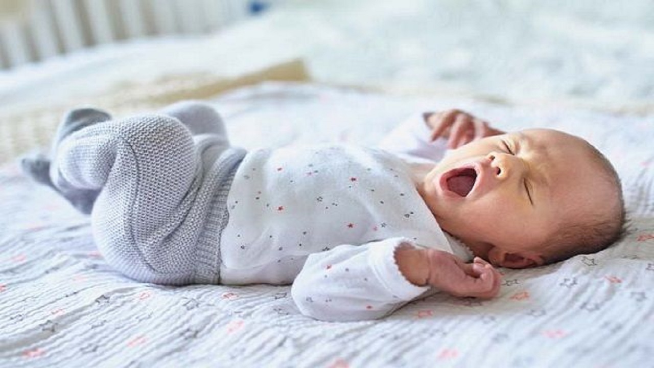 تولد هزارو ۶۸۶ نوزاد در خراسان شمالی از اوایل سال تا کنون
