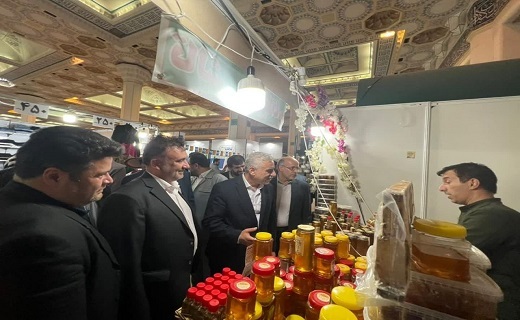 حضور گیلانی&zwnj;ها در نمایشگاه روستا آباد با ۱۵ غرفه&nbsp;