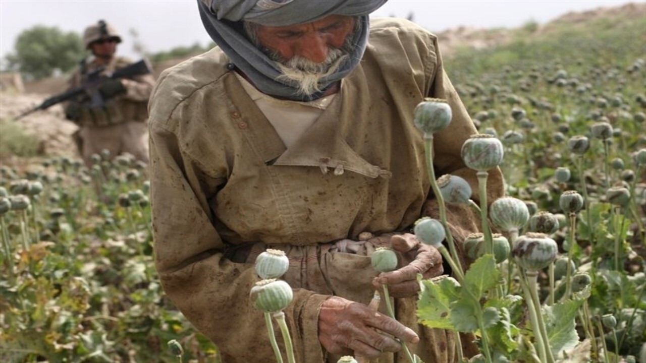 طالبان اظهارات رئیس جمهور تاجیکستان در مورد افزایش قاچاق مواد مخدر را رد کرد