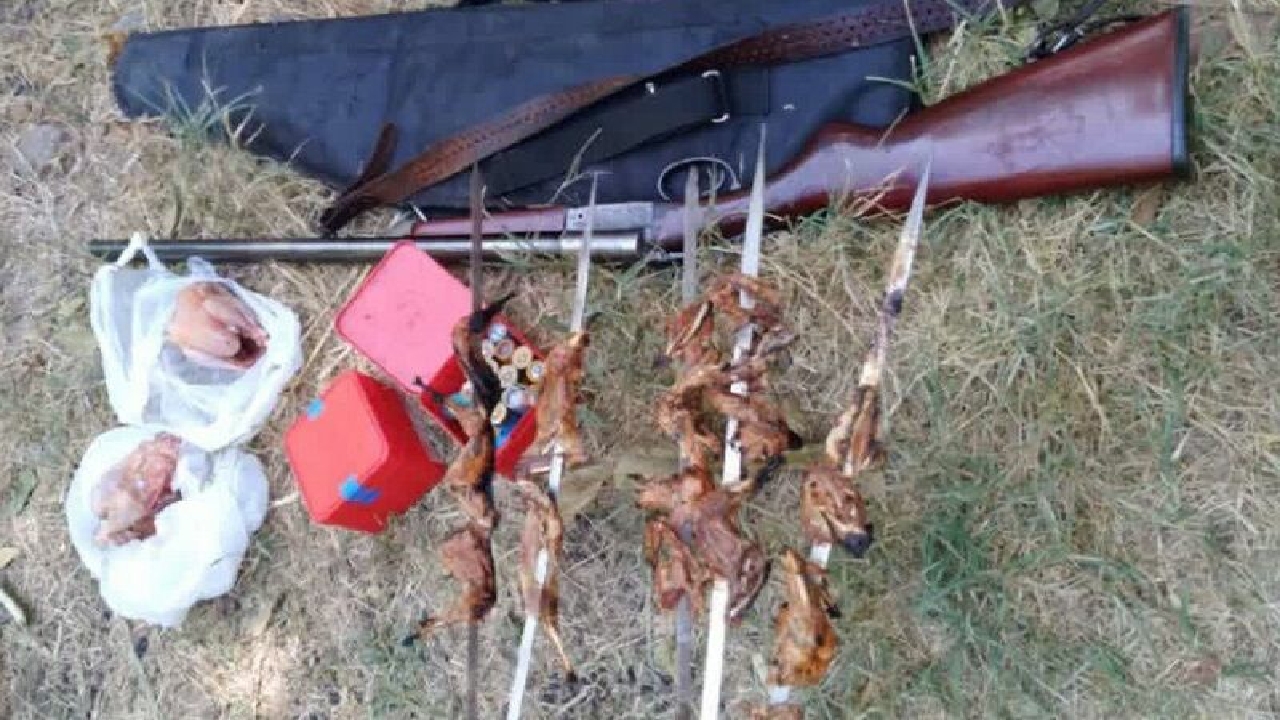 بازداشت ۲ شکارچی غیرمجاز در قزوین