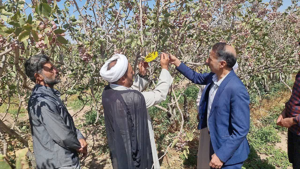 افزایش ۶۰ درصدی  جمع آوری  زکات مستحبی در  زرند